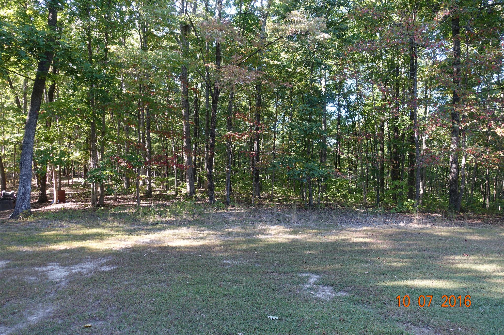 5559 Boy Scout Road Franklin, TN 37064 - Photo 19 of 25 a view of a yard with a tree