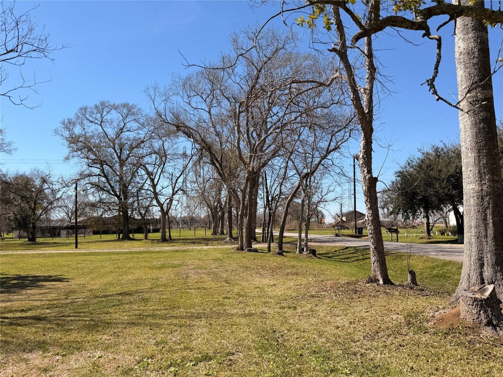 10217 Weldon Road Freeport, TX 77541 - Photo 5 of 9 a view of outdoor space with trees