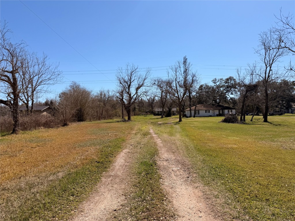 10217 Weldon Road Freeport, TX 77541 - Photo 7 of 9 a view of yard with tree
