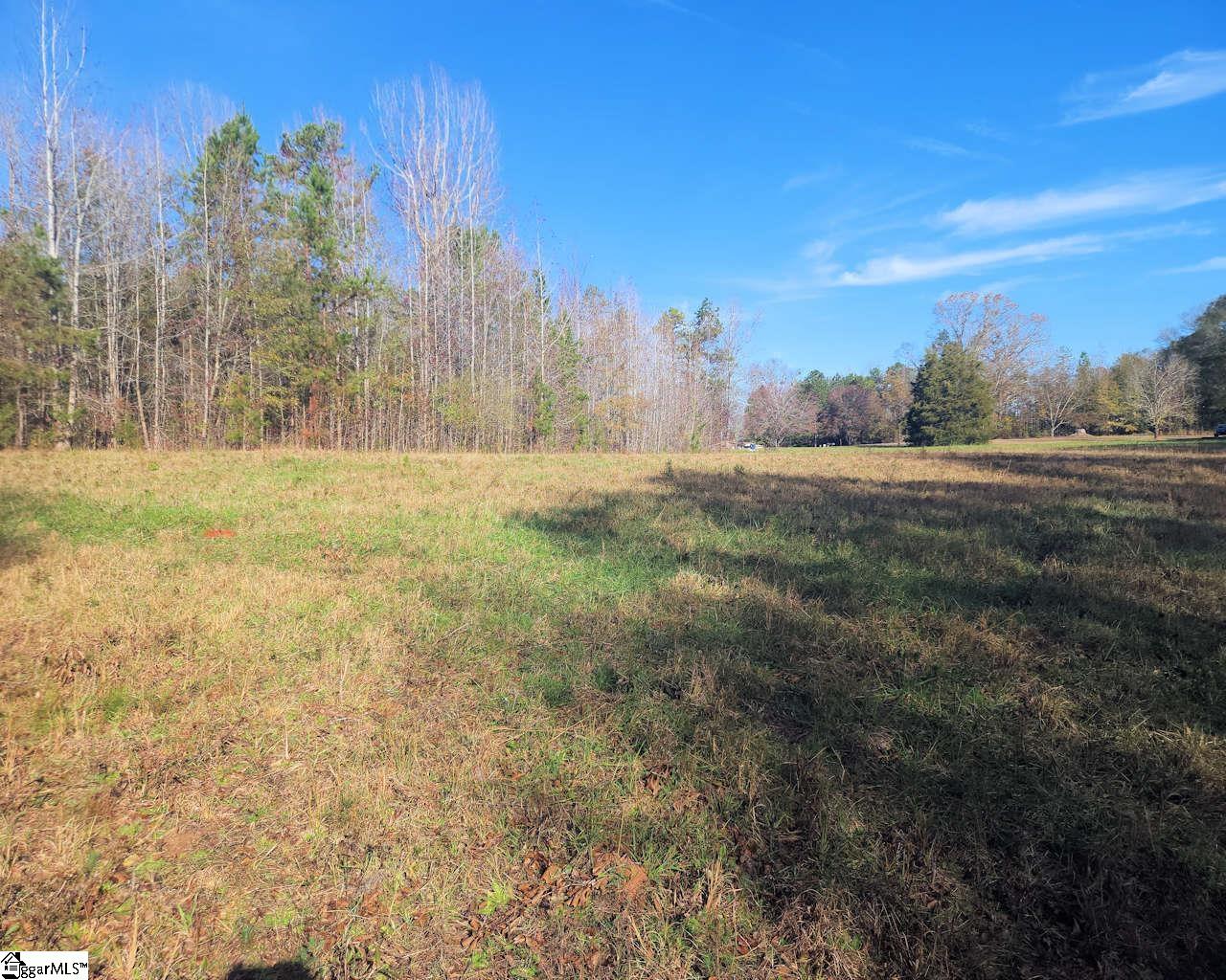 Mt Carmel Road Gray Court, SC 29645 - Photo 6 of 11