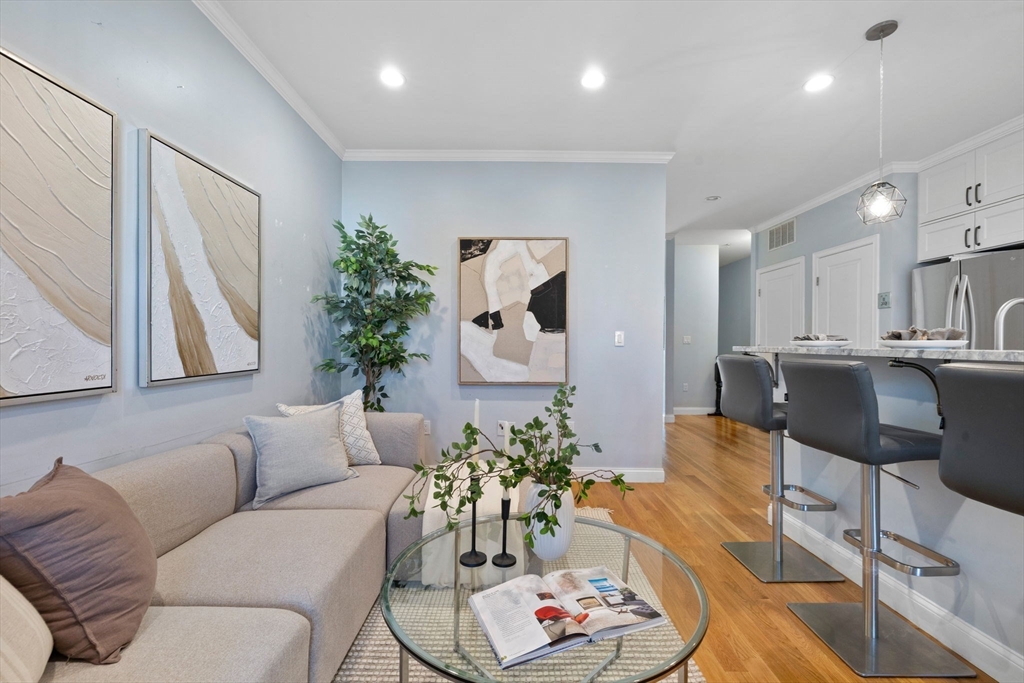 242 West Fifth Street, Unit 3 Boston, MA 02127 - Photo 12 of 37 a living room with furniture kitchen and a potted plant