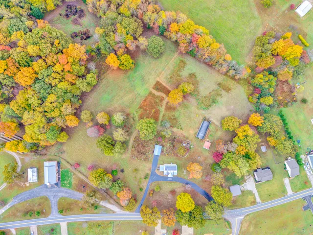 a street view with large trees
