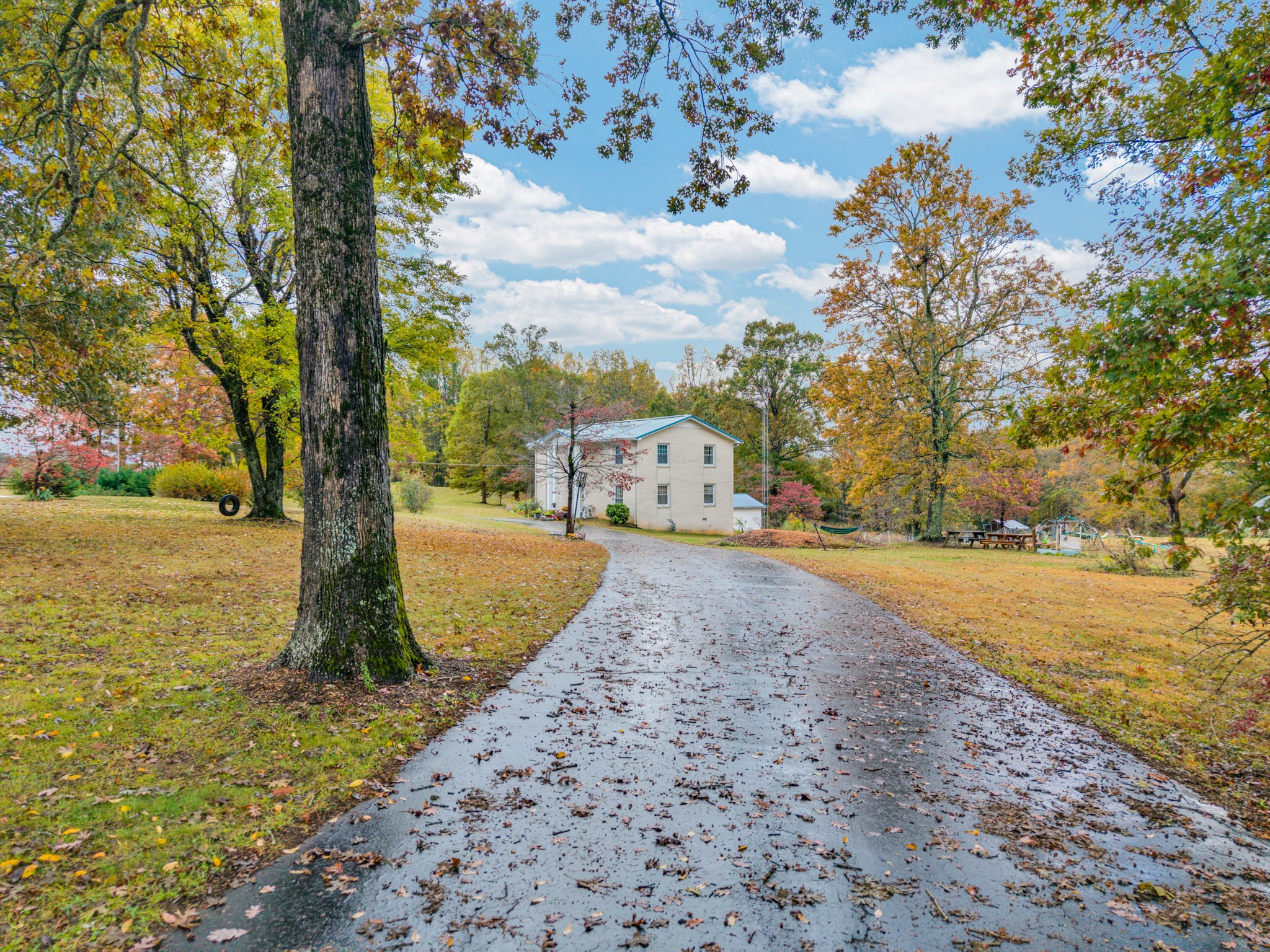 5881 Burgess Falls Road Sparta, TN 38583 - Photo 6 of 29 a street view with large trees