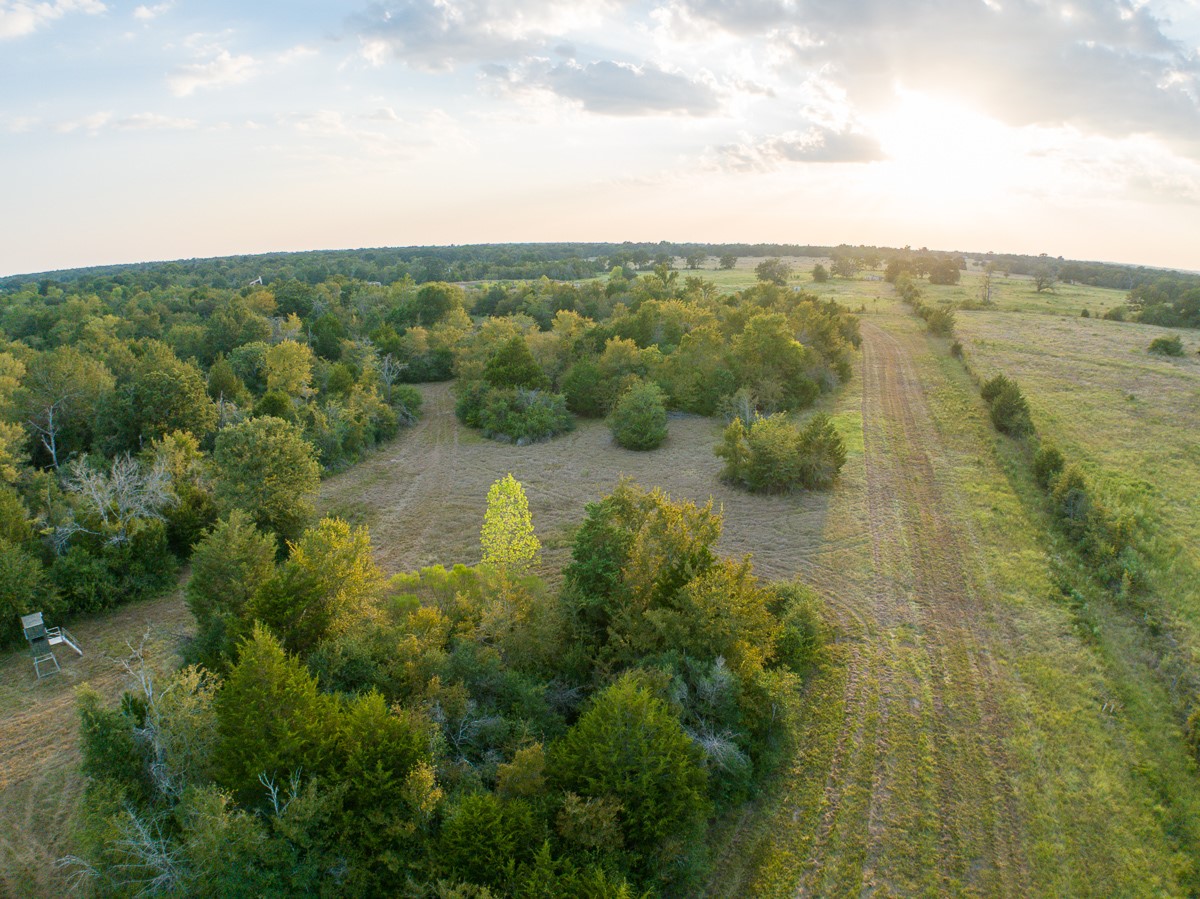 0 Burns Road Midway, TX 75852 - Photo 8 of 29 Gallery Image 8