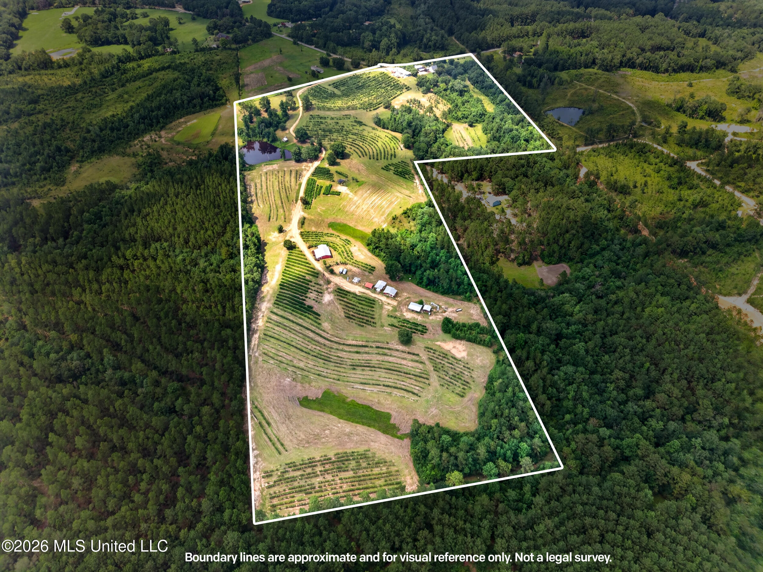 574 Slade Woodward Road Poplarville, MS 39470 - Photo 95 of 106 96_property_perspective_boundaries