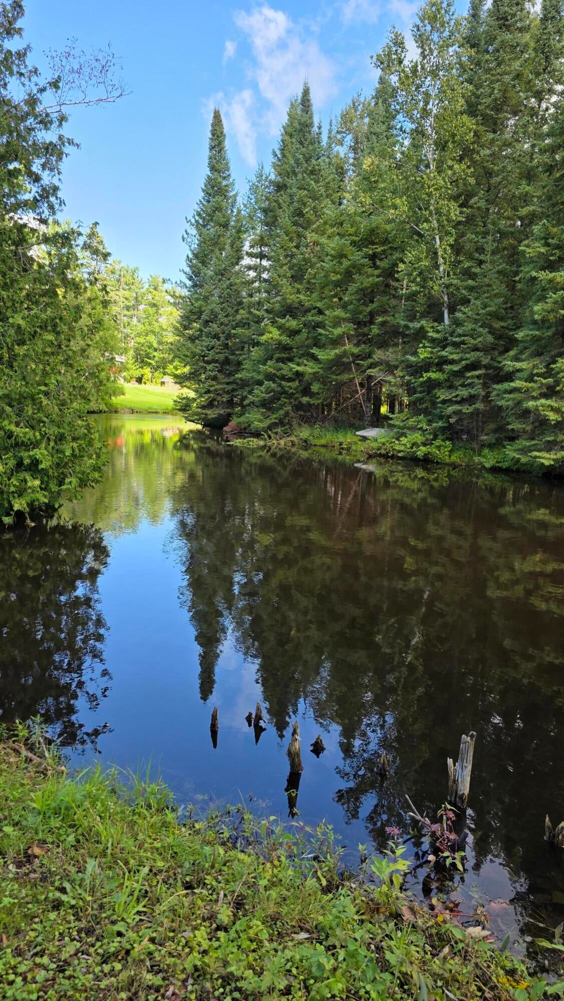 3739 Club Road Indian River, MI 49749 - Photo 6 of 60 20250828_120922
