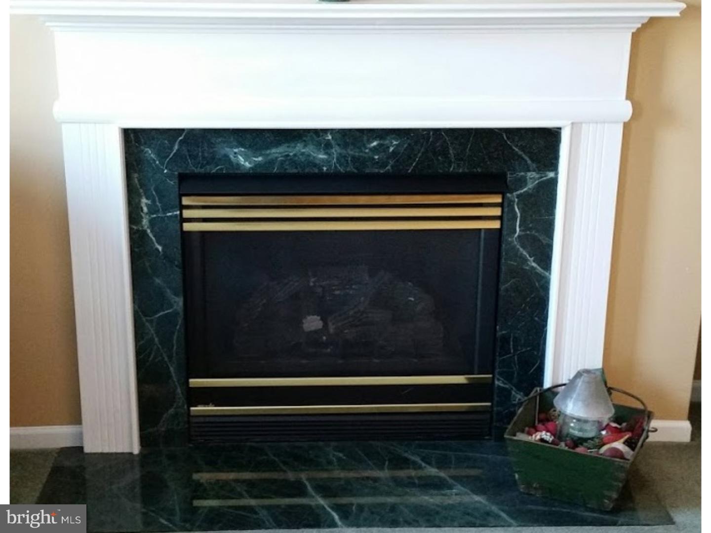 20 Birchgrove Road Newark, DE 19702 - Photo 16 of 25 Fireplace