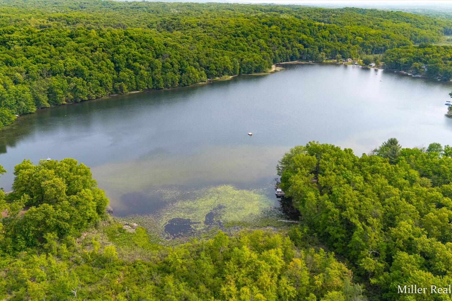 8390 Keller Road Delton, MI 49046 - Photo 31 of 38 31-WM8390kellerdrone-2