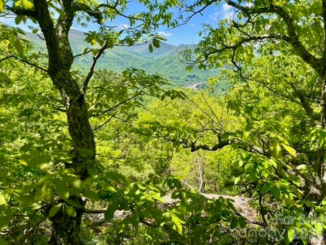 0 Soco Road Maggie Valley, NC 28751 - Photo 6 of 26