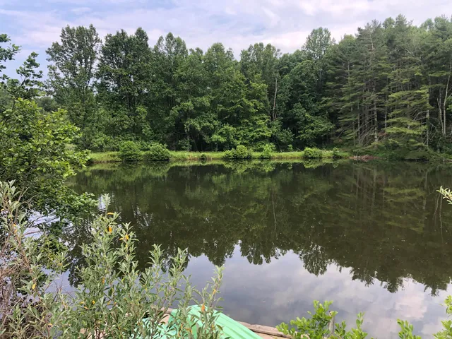 a view of a lake with a yard