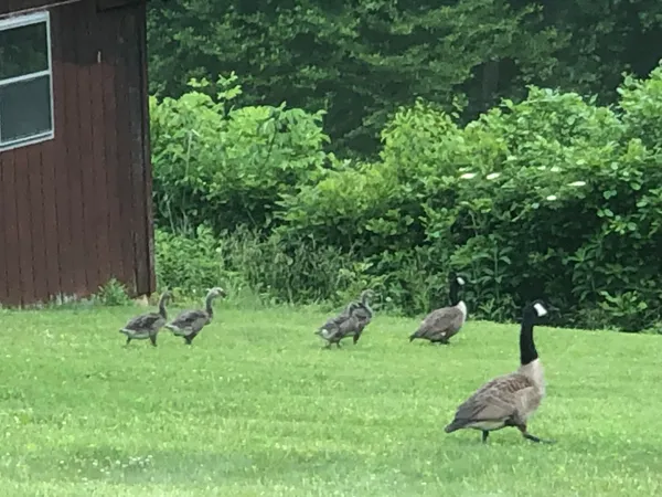 $560,000 | 629 Paradise Lane Southeast, Floyd, VA 24091