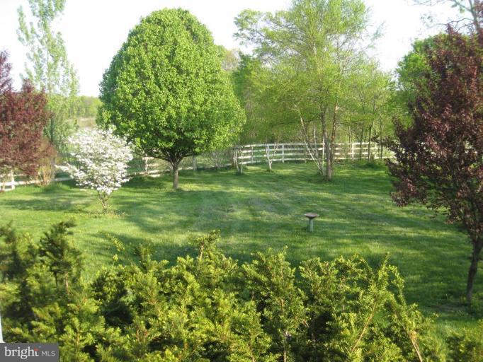 34311 Brownell Road Round Hill, VA 20141 - Photo 4 of 16 Back yard