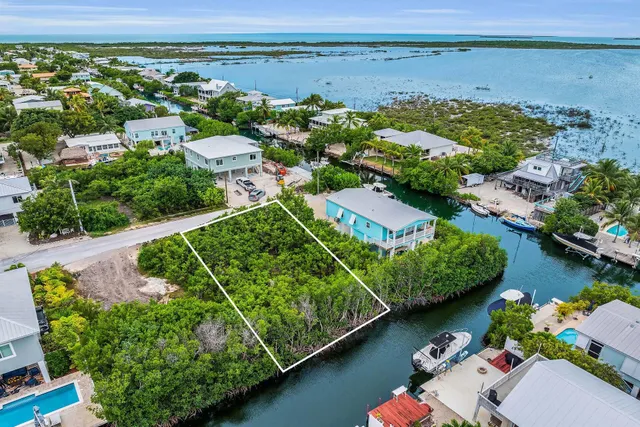 an aerial view of a house with a lake view