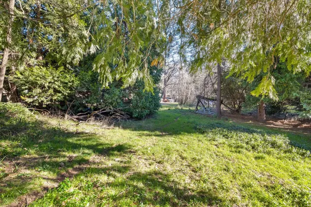 a view of swimming pool with lawn chairs and plants