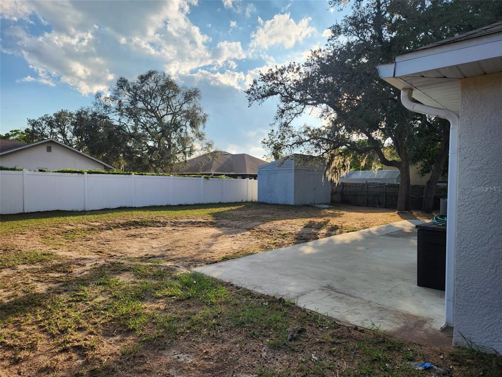10154 Henderson Street Spring Hill, FL 34608 - Photo 16 of 19 a view of back yard of the house