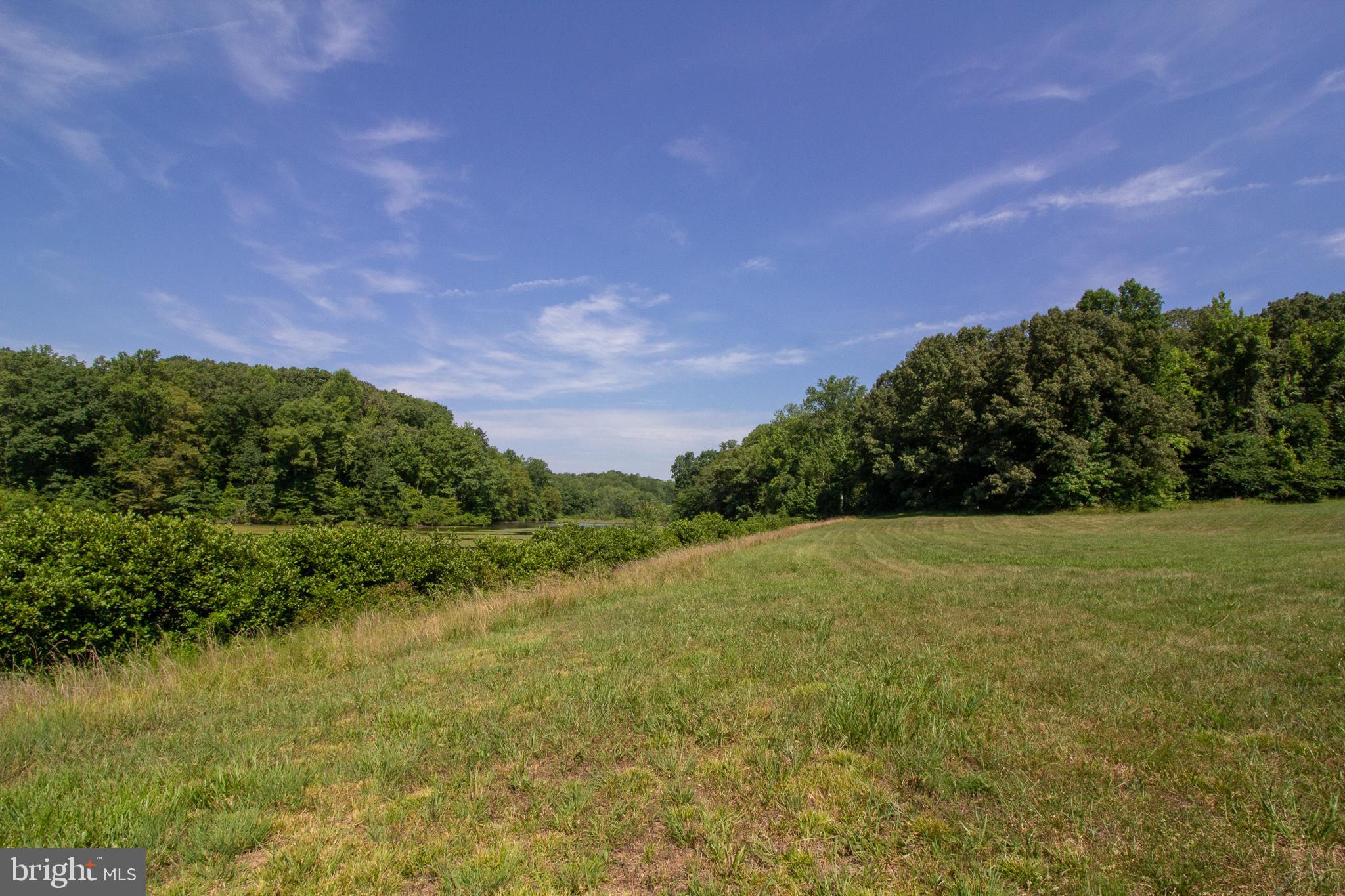 Tbd Lindsay Road, Unit LOT 47 Pamplin, VA 23958 - Photo 5 of 11