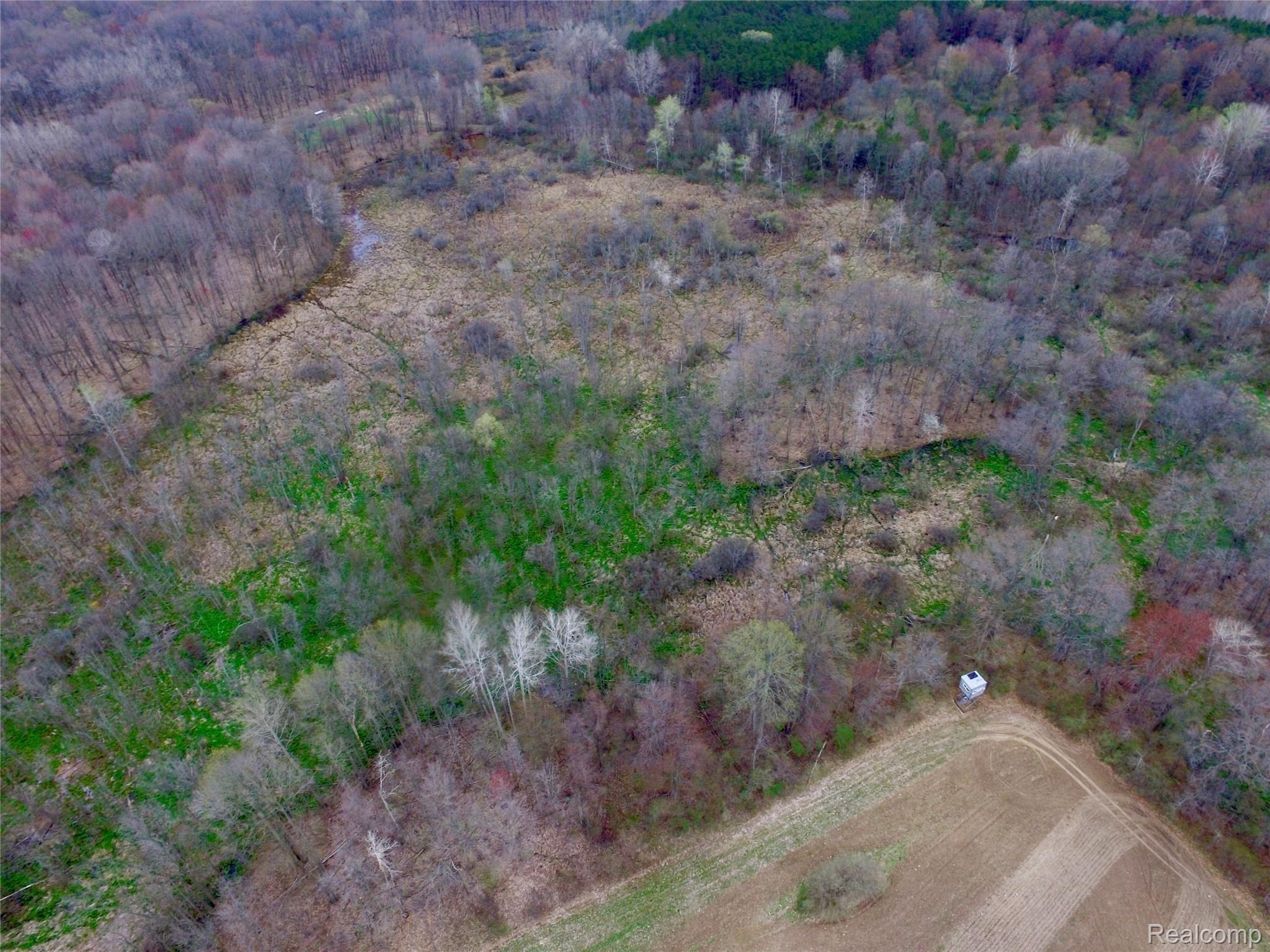 6700 Bentley Lake Road Pinckney, MI 48169 - Photo 14 of 23 REAR HUNTING BLIND