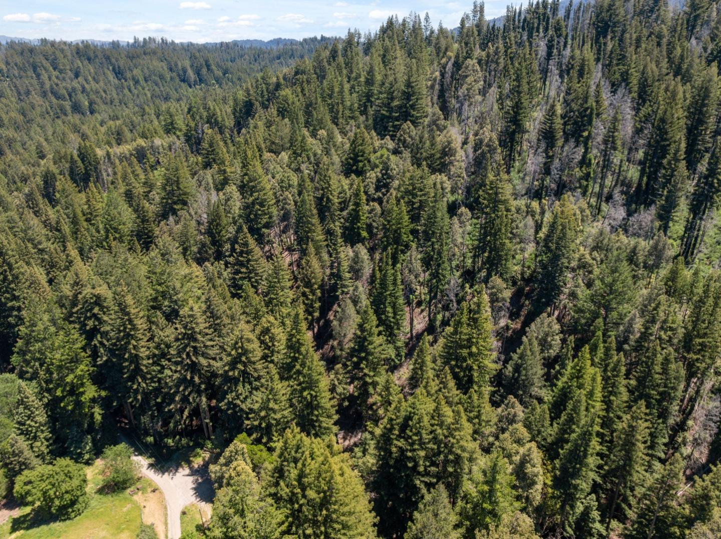 Lot 17 Branson Ranch Boulder Creek, CA 95006 - Photo 39 of 45 a view of a forest with a tree