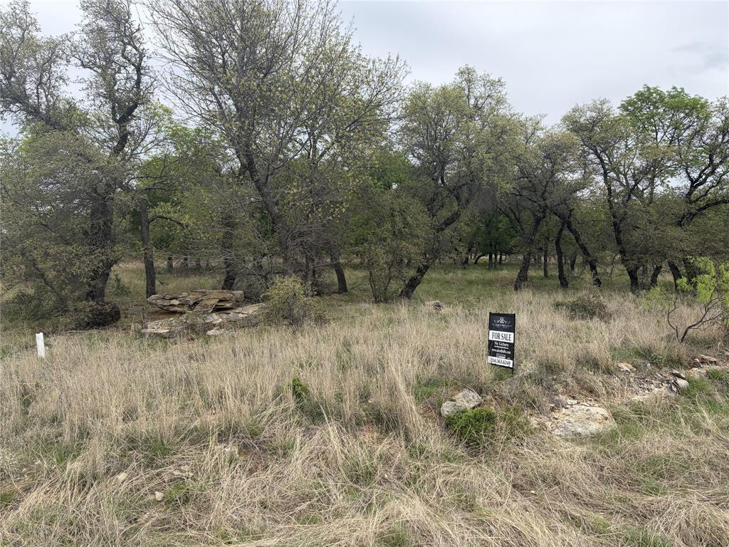 234 Ridgeline Drive Chico, TX 76431 - Photo 2 of 5 a view of a dry yard with trees