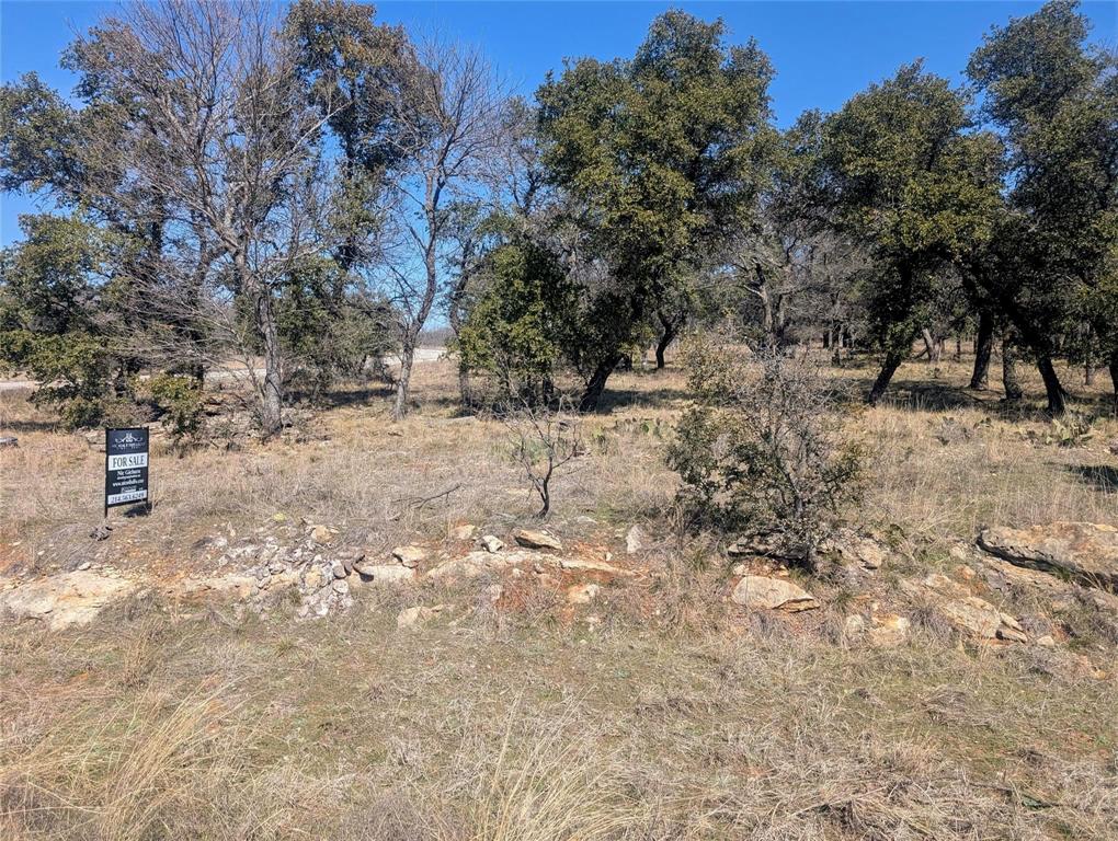 234 Ridgeline Drive Chico, TX 76431 - Photo 3 of 5 a view of dirt yard with a tree