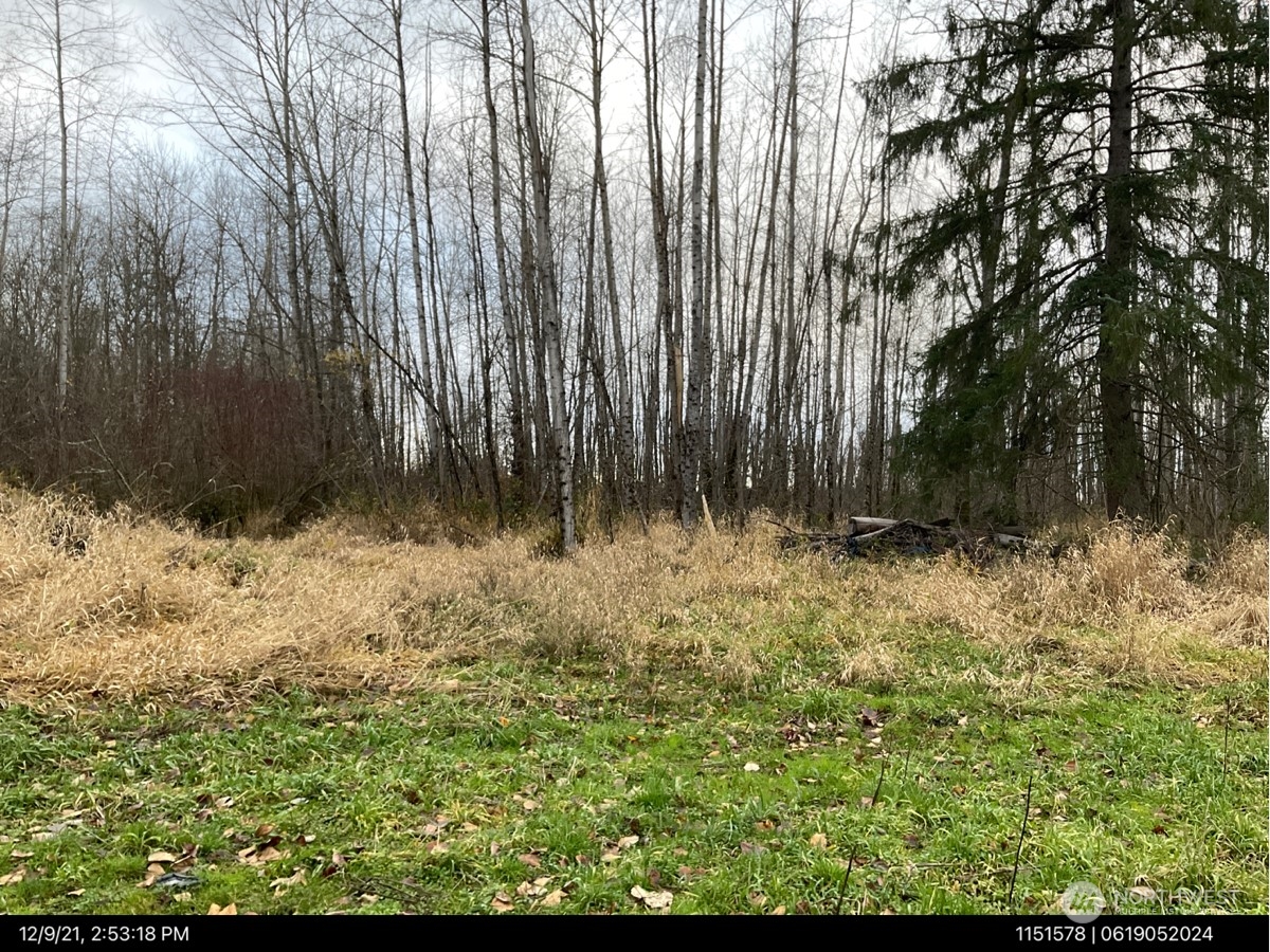 26603 Entwhistle Road East Buckley, WA 98321 - Photo 2 of 2 a view of backyard with green space