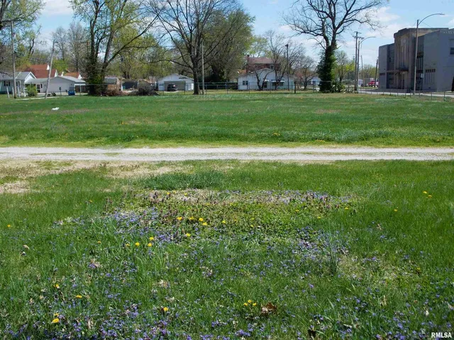 a view of a park with houses with outdoor space