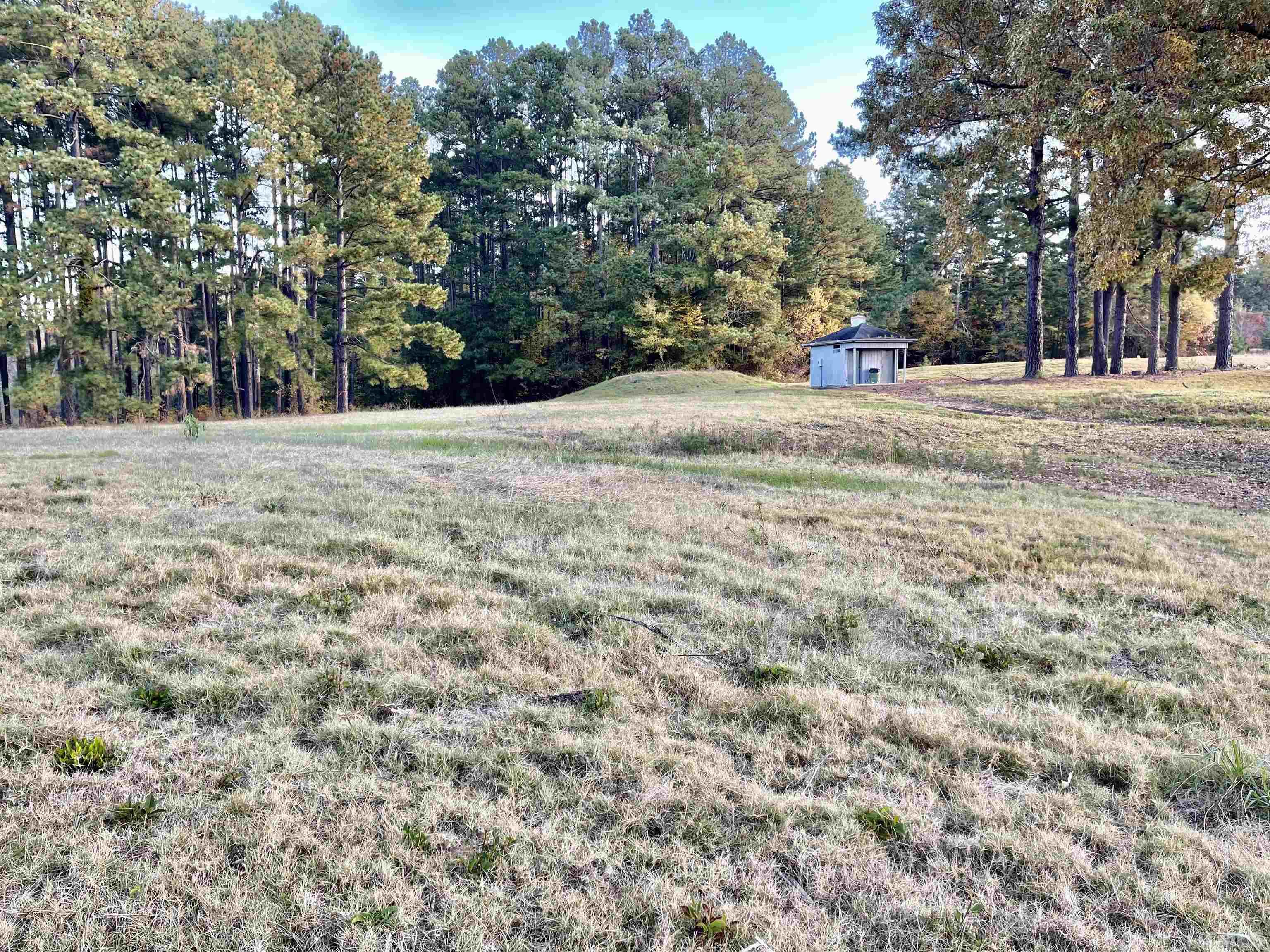 Lot 10 Cavel Chub Lake Road Roxboro, NC 27574 - Photo 1 of 6 a view of outdoor space with trees