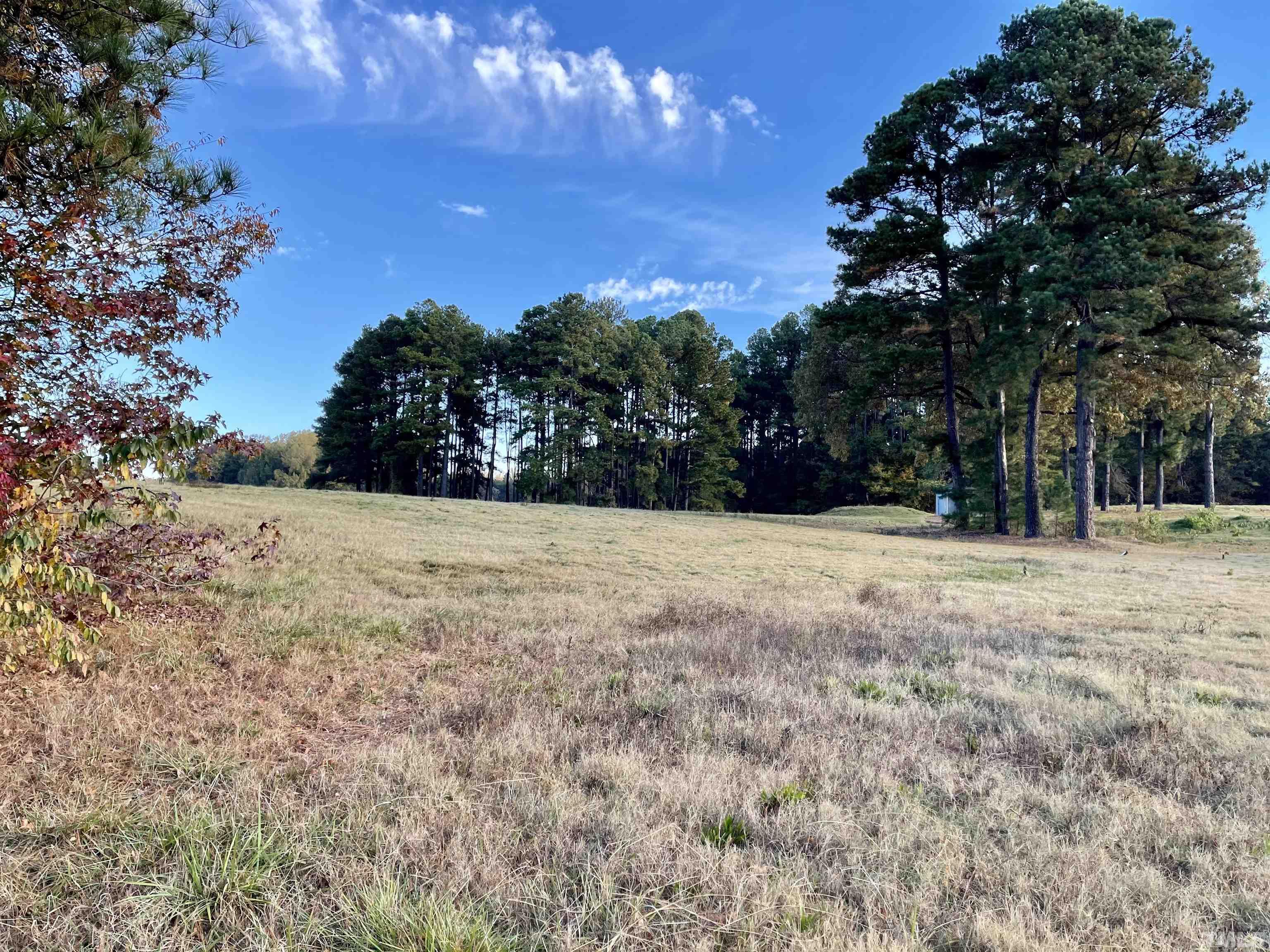 Lot 10 Cavel Chub Lake Road Roxboro, NC 27574 - Photo 3 of 6 a view of backyard with green space