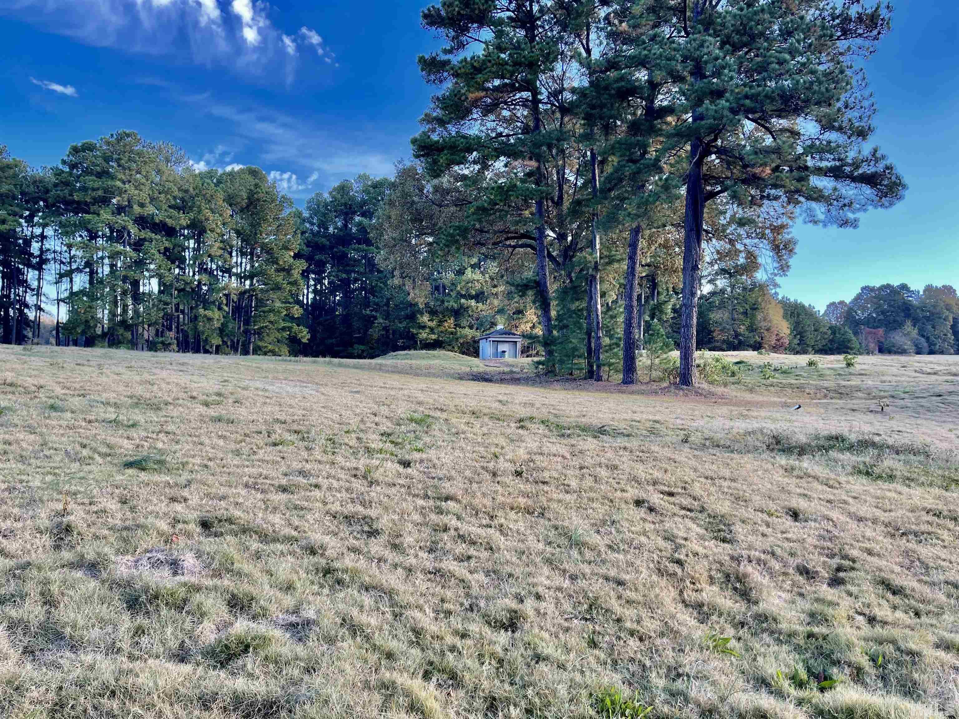 Lot 10 Cavel Chub Lake Road Roxboro, NC 27574 - Photo 4 of 6 a backyard of a house with lots of green space