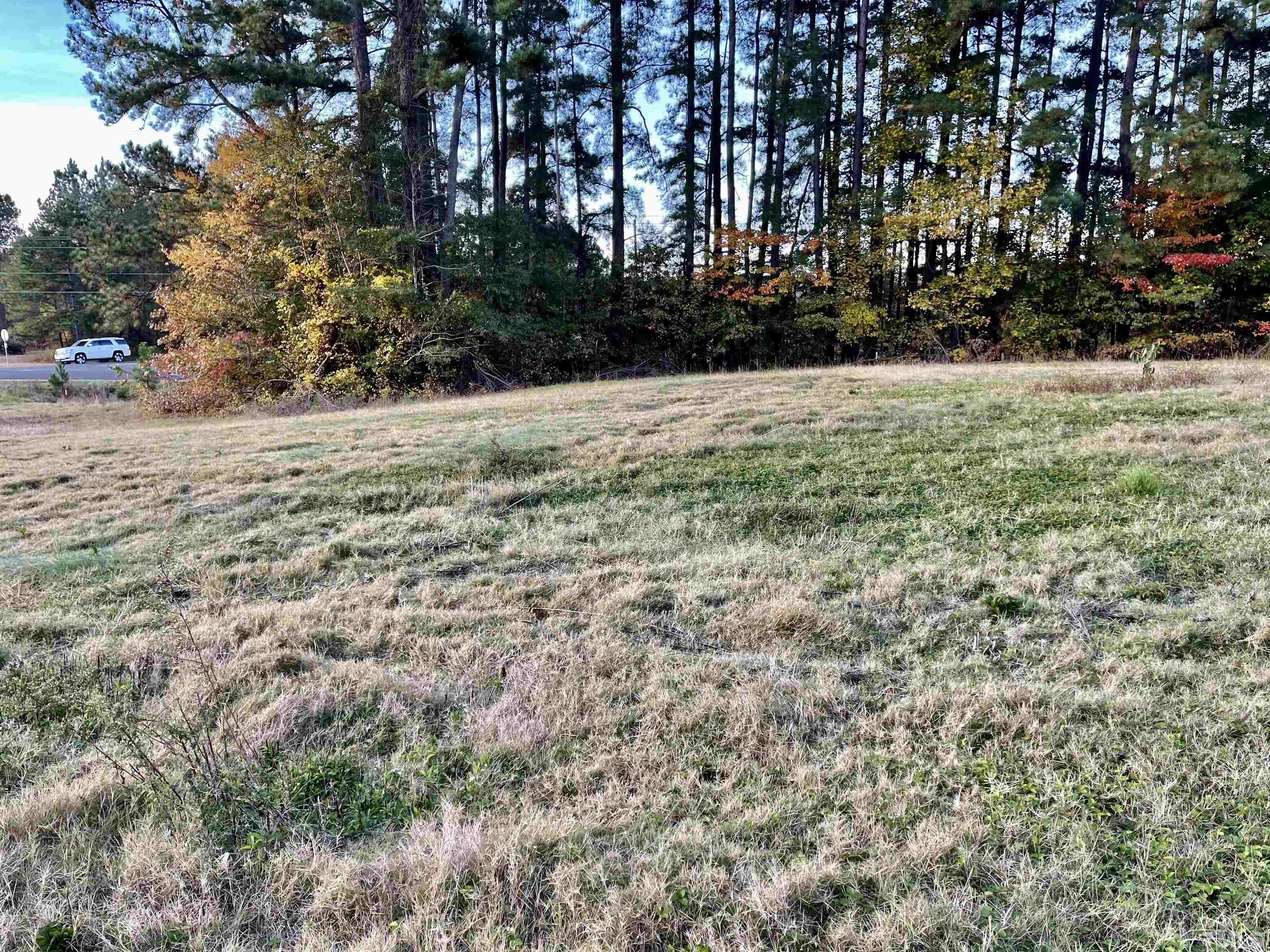 Lot 10 Cavel Chub Lake Road Roxboro, NC 27574 - Photo 5 of 6 a view of backyard with green space