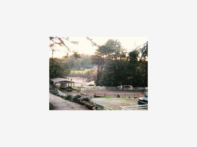 333 Canham Road Scotts Valley, CA 95066 - Photo 1 of 8 Gallery Image 1