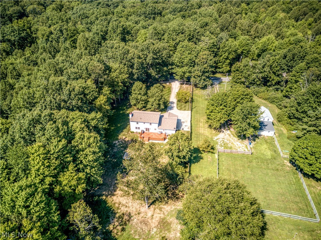 8666 Cooley Road Ravenna, OH 44266 - Photo 5 of 35 Backyard sky view