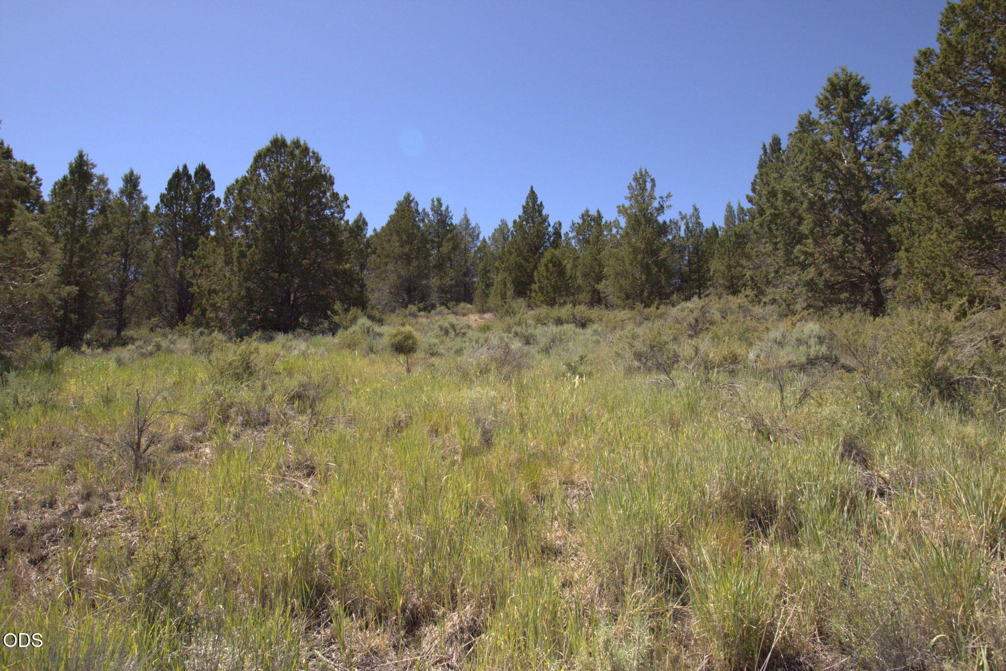 Wasco Street Chiloquin, OR 97624 - Photo 1 of 5