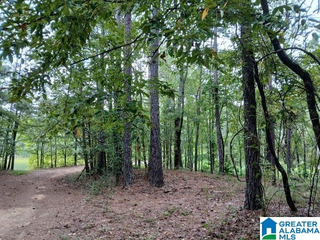 105 Point Aquarius Drive, Unit 22 Alpine, AL 35014 - Photo 3 of 7