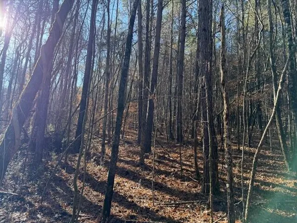 $35,000 | Lot 10 Hwy 11 Valley, Unit LOT 10, Valley Head, AL 35989