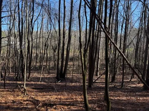 $35,000 | Lot 10 Hwy 11 Valley, Unit LOT 10, Valley Head, AL 35989