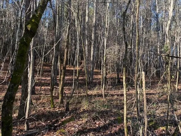 $35,000 | Lot 10 Hwy 11 Valley, Unit LOT 10, Valley Head, AL 35989