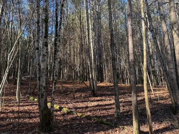 $35,000 | Lot 10 Hwy 11 Valley, Unit LOT 10, Valley Head, AL 35989