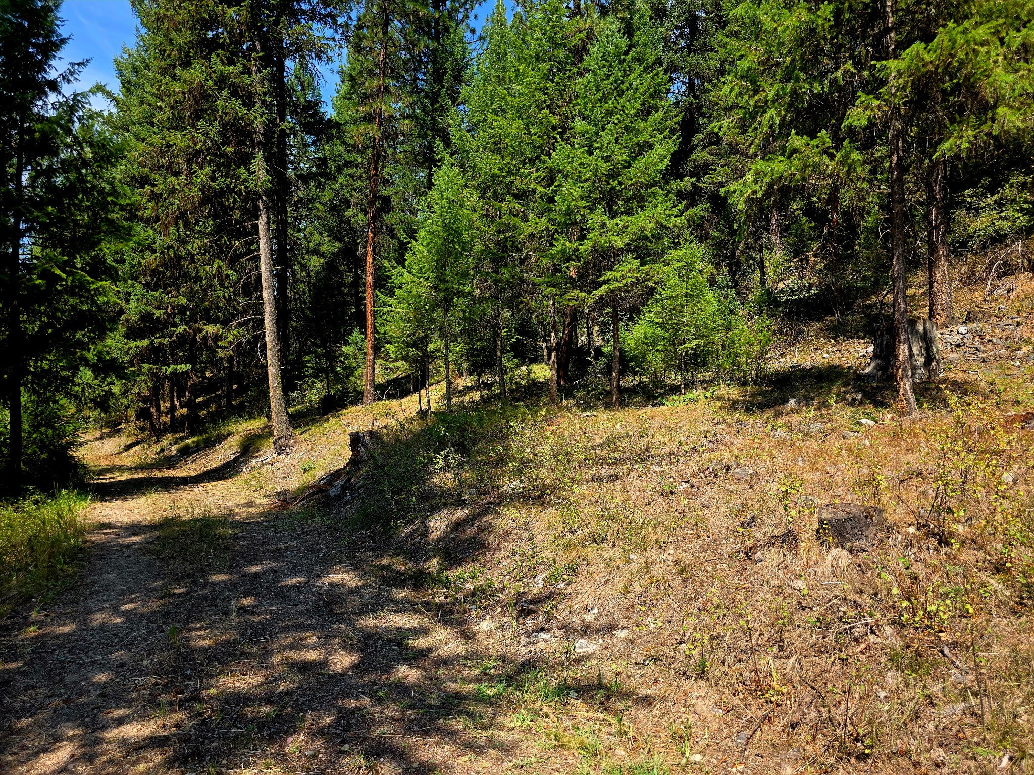 26900 9 Mile Road Huson, MT 59846 - Photo 58 of 60 Gallery Image 58