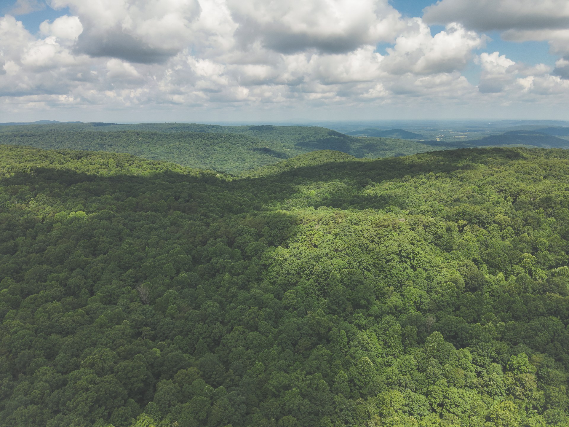 0 Long Fork Creek Road Spencer, TN 38585 - Photo 43 of 45