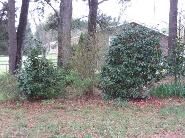 1101 Knollwood Acres Road Boiling Springs, SC 29316 - Photo 23 of 25 Gallery Image 23