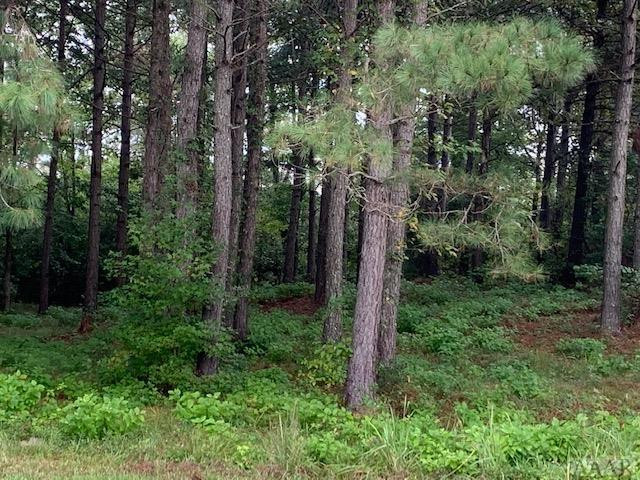 117 Norcum Point Road Edenton, NC 27932 - Photo 11 of 16