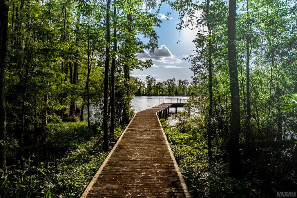 117 Norcum Point Road Edenton, NC 27932 - Photo 13 of 16