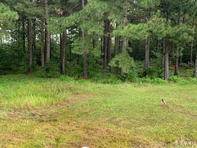 117 Norcum Point Road Edenton, NC 27932 - Photo 14 of 16