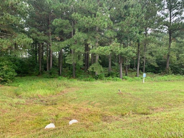 117 Norcum Point Road Edenton, NC 27932 - Photo 4 of 16