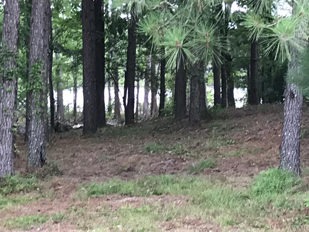 117 Norcum Point Road Edenton, NC 27932 - Photo 5 of 16