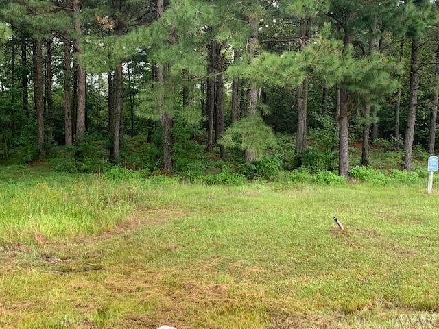 117 Norcum Point Road Edenton, NC 27932 - Photo 7 of 16