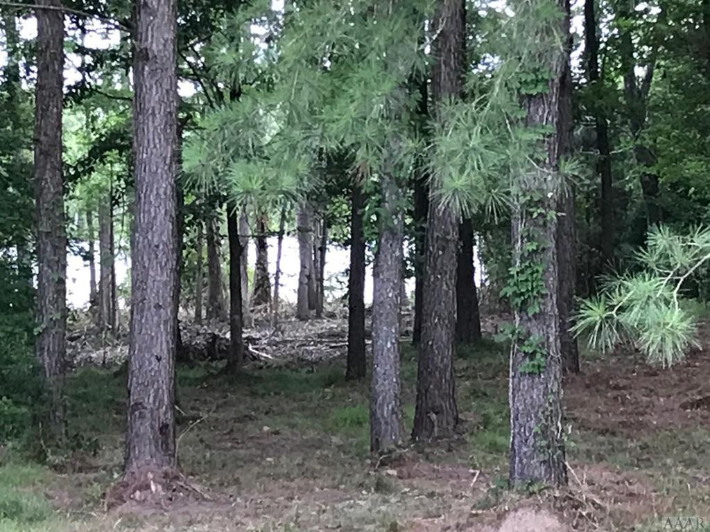 117 Norcum Point Road Edenton, NC 27932 - Photo 8 of 16