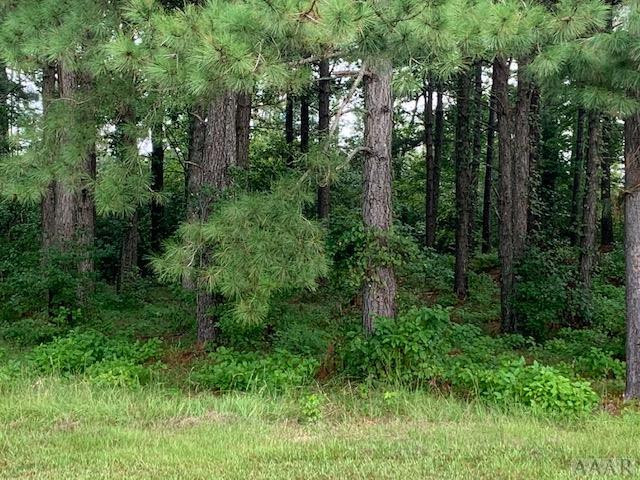 117 Norcum Point Road Edenton, NC 27932 - Photo 9 of 16