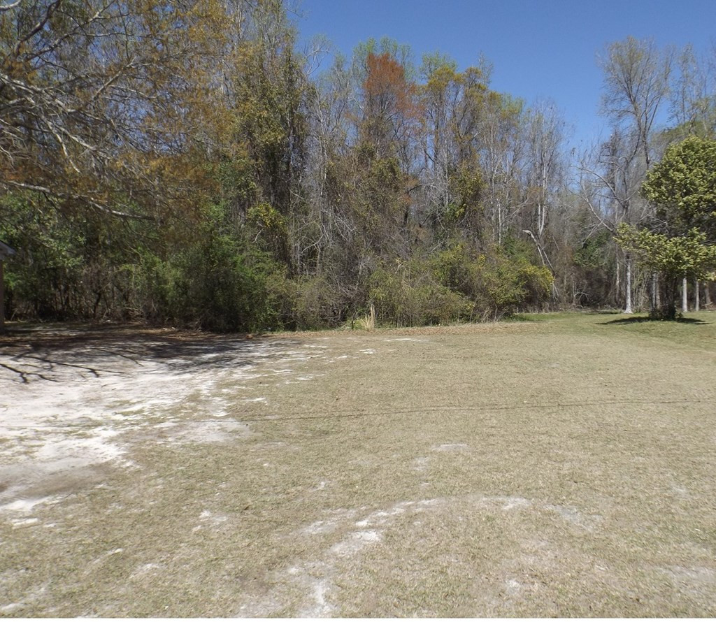 Tbd Branchview Drive Manning, SC 29102 - Photo 3 of 6